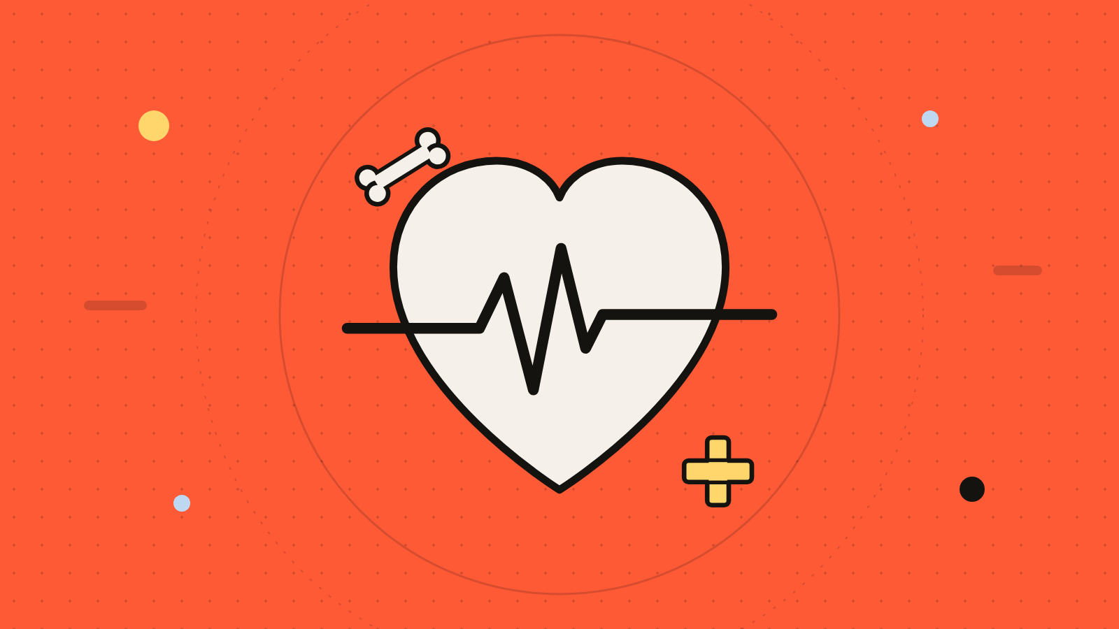 Human body quiz illustration